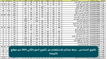 نتائج السادس.. رابط مباشر للاستعلام عن نتائج الدور الثاني 2025 عبر موقع نتائجنا